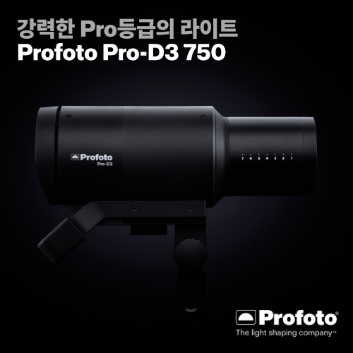 [신제품] 프로포토 D3 750 듀오킷, Profoto Pro-D3 750 Duo Kit
