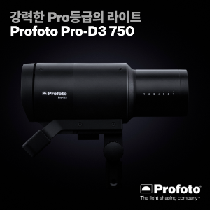 [신제품] 프로포토 D3 1250 단품, Profoto Pro-D3 1250 Single